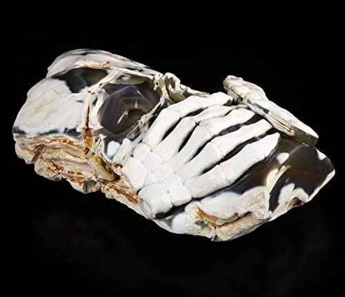 Skullis Origianl 11,5 Orca Agate Skull Crânia esculpida, Cura de cristal.