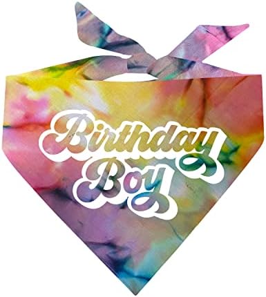 Birthday Boy Retro Tema Scrunch Tie Triângulo Triângulo Bandana