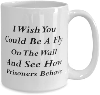 Oficial correcional Caneca, eu gostaria que você pudesse ser uma mosca na parede e ver como os prisioneiros se comportam, idéias de presentes exclusivas para o oficial correcional, copo de chá de caneca de café 15 onças.