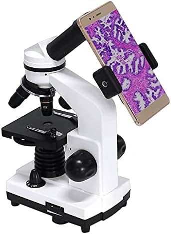 YTYZC Composto Profissional Microscópio Biológico Microscópio Microscópio Microscópio de Exploração Biológica Adaptador de Smartphone