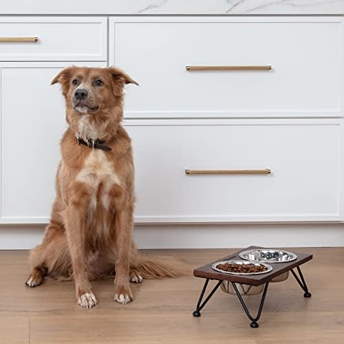 Prymal Pets elevados tigelas de cachorro com suporte - design moderno exclusivo + 2 pratos de cachorro aço inoxidável + pés