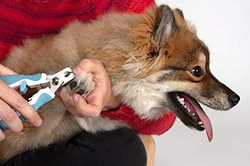 PAWS & PALS DOG UNID Clipper Scissors para grandes ou pequenos gatos e animais de estimação-Ferramenta de limpeza de apartamento