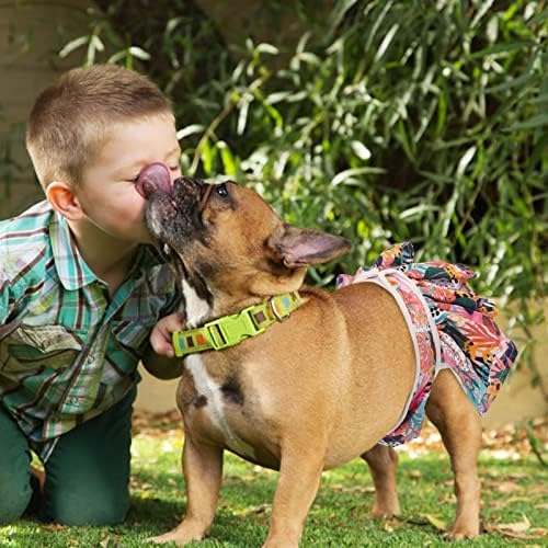 Fraldas de cães femininas idomik, 3 pacotes de cachorros fraldas laváveis ​​Doggie Reutilable calces sanitários de calcinha,