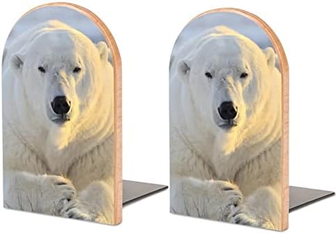 Imagens de urso polar