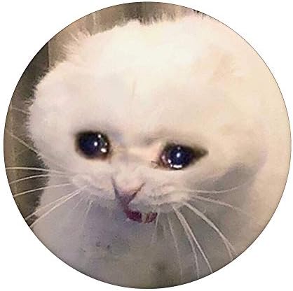 Popsockets tristes de gatos choros