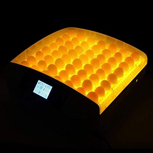 ALREMO 103234536 56 Incubadora de ovo digital Incubador de temperatura Controle de umidade Automática Turnando com Candler LED embutido para Chickens Ducks Birds Family