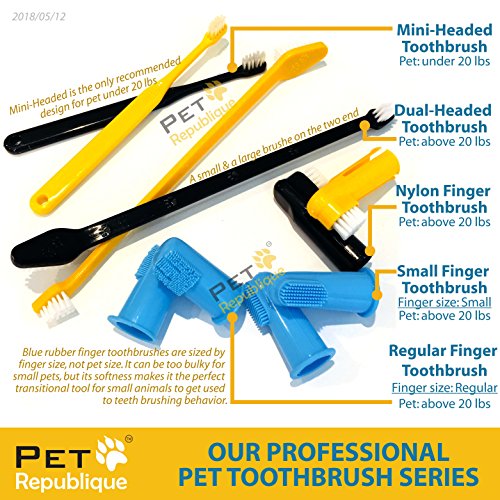 Pet Republique Dog dentes da escova de dentes de 6 - escova dental para cães grandes a pequenos, gatos e a maioria dos animais de estimação