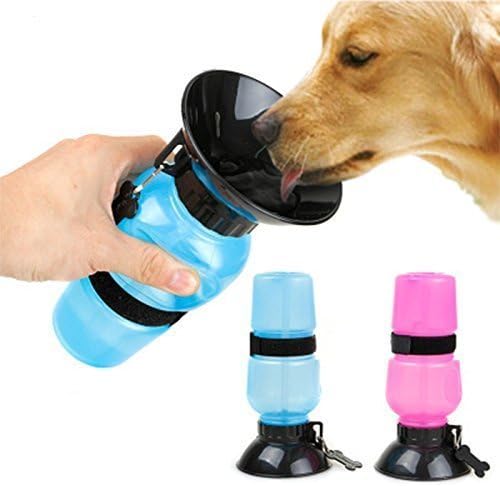 Jellex Dog Water Bowl Bottle Sipper portátil Aqua Dog Viagem Botthe Water Bottle Bank
