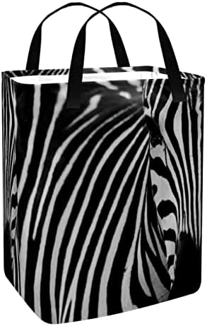 Bueatiful Zebra Print Print Collapsible Laundry Horty, 60L de lavanderia à prova d'água de lavagem de roupas de roupas de roupas para o quarto