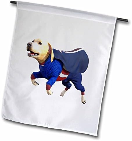 Cartoon gráficos de boehm 3drose - Cartoon Labrador em Super Dog Suit - Sinalizadores