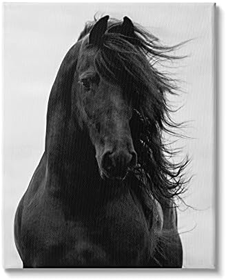 Stuell Industries Black Stallion Horse Retrato Soft Grey Sky Photography, Design de Carol Walker Wall Plening, 13 x 19