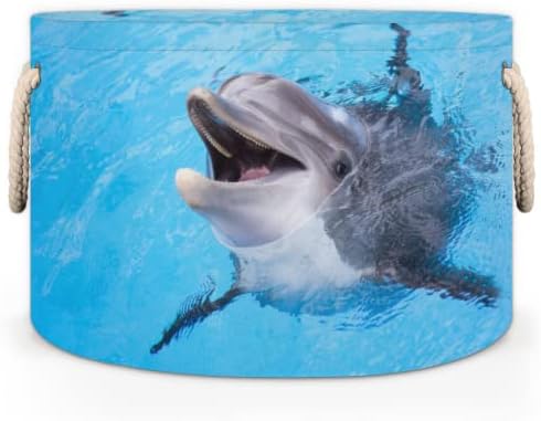 Cenas redondas grandes de golfinhos fofos para cestas de lavanderia de armazenamento com alças cestas de armazenamento de cobertor