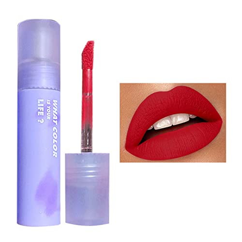 Base Lip Gloss Pequena presente para meninas Diário Cosméticos Lipstick Com maquiagem labial Velvet High During During High Pigmment Nude Watersperp Stains