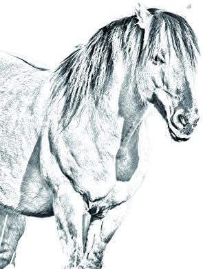 Art Dog Ltd. Henson Horse, lápide oval de azulejo de cerâmica com uma imagem de um cavalo
