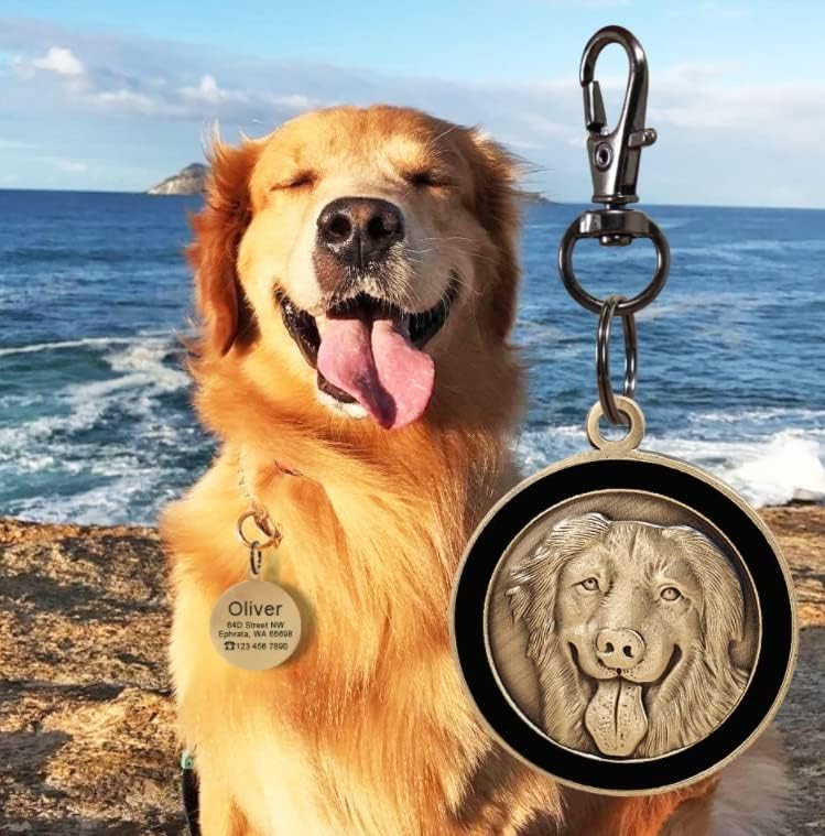 Identificação de cão personalizado tag tag gravado etiquetas de cães de gola acessórios de colarinho de cachorro personalizado tags