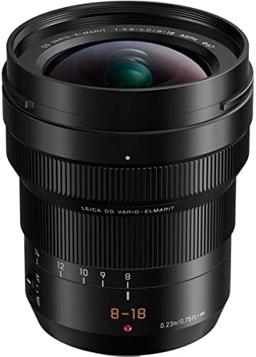 Panasonic Lumix DG Leica Vario-Elmarit 8-18mm f/2.8-4 Asph. Lente Zoom para Micro Four Thirds Mount - pacote com