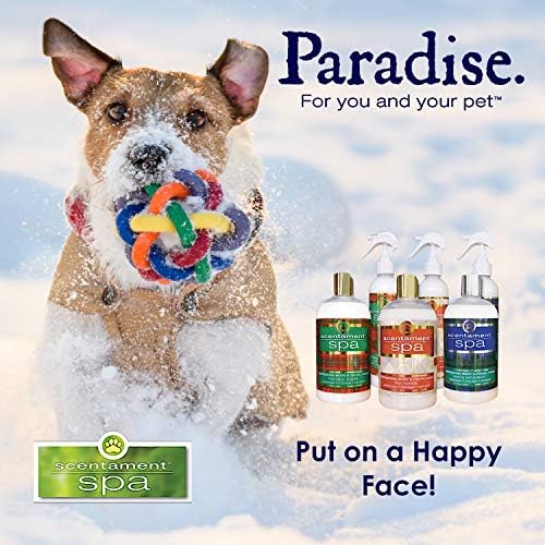 Melhor tiro de pet scentament spa Sazonal Facial & Body Wash, brisa tropical, 16 oz