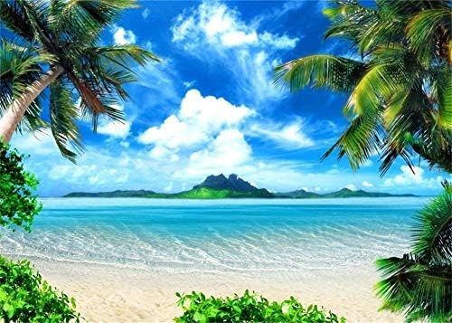 Afoto, 10x8ft Tropical Beach Photography Background à beira -mar de palmeira lasa cenário havaiano luau transparente mar