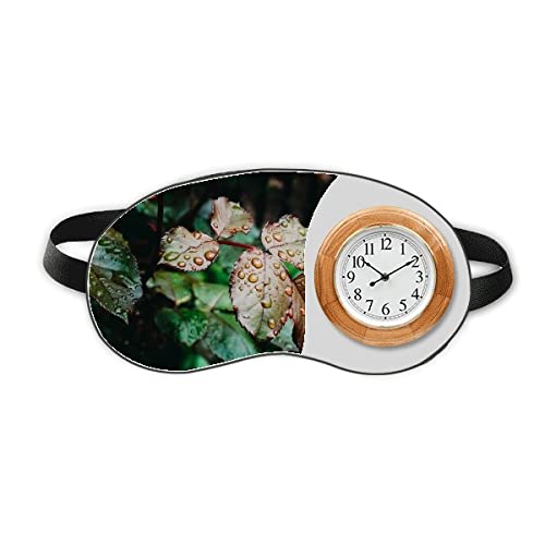 DeWdrop Nature Picture Sleep Eye Head Clock Toup Shade Tampa