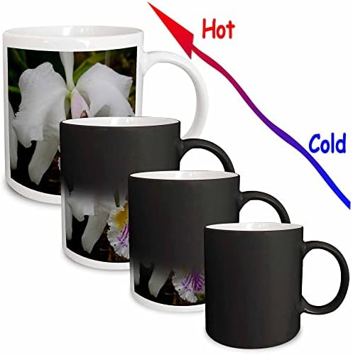 3drosrose orchid-ii caneca cerâmica, 11 onças