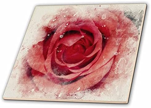 3Drose Red Deep Close Up of Rose Image of Watercolor - Tiles