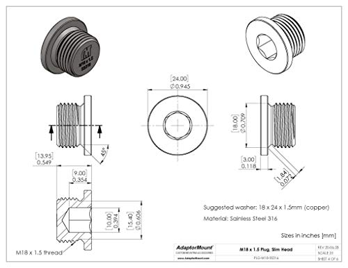 M18 x 1,5 Aço inoxidável 316 Slim Round Head Allen Key Slotted com arruela de cobre