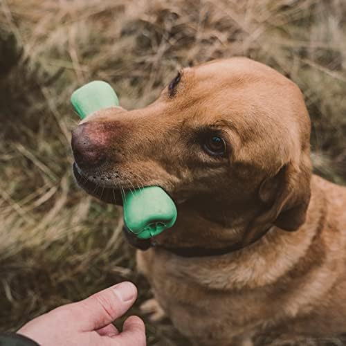 Beco Rubber Bone, Trough Treat Dispensing Dog Chew Toy, Blue, Medium