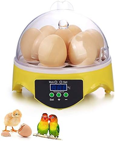 ALREMO 103234536 MINI Incubadora de ovo Digital Máquina de eclosão de controle automático de temperatura para galinhas