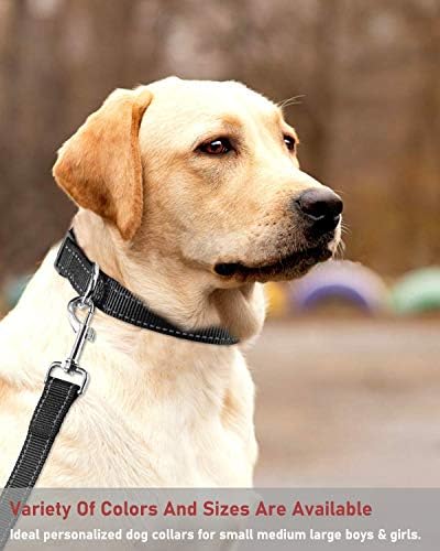 Colarinho de cachorro reflexivo com colares de nylon de segurança ajustáveis ​​de fivela para cães grandes pequenos, preto l