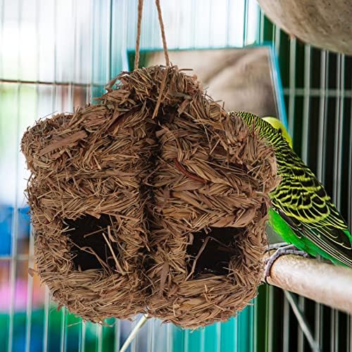 YARNOW Ovos falsos Casa de pássaro ao ar livre Hummingbird casa