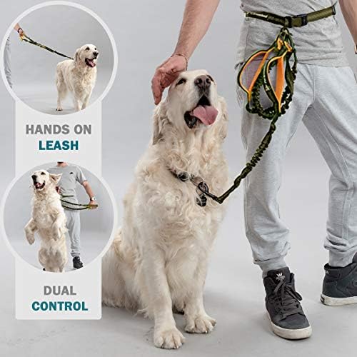 Hands grátis cão coleira para cães pequenos | Coloque da cintura para passear com cães | Dog Running Leash | Caminhada