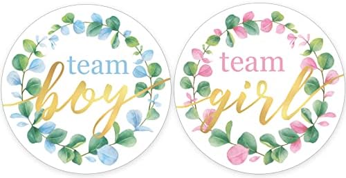 EUCALYPTUS GREENERY GENDER REVELE Party - Team Boy ou Team Girl Stickers - 40 rótulos - Sage Garland Gender Revela Decorações e suprimentos