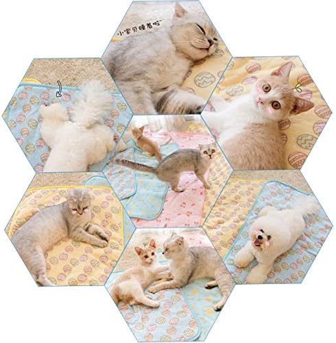 Hotumn Cooling Dog Bed Cão Cooler tapete lavável Pap de animais de estimação para dormir para pequenos cachorros de cachorro