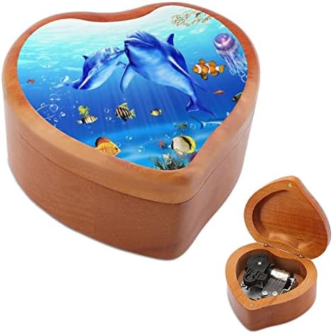 Vida marinha, golfinho, peixe coral madeira caixa