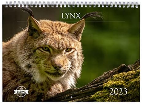 Calendário de parede Lynx 2023