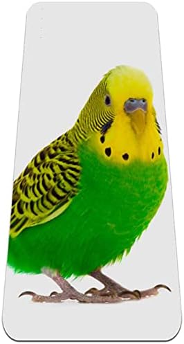 Yoga Mat Green Budgie Parrot Parrot Eco Friendly Non Slip Fitness Exercition tapete para pilates e exercícios de piso