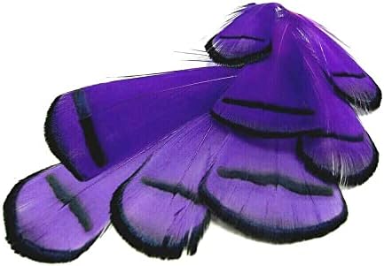 20 PCS FEANT Lady Amherst Feathers - Plumagem corporal roxo escuro - 4