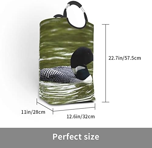 Loon Nature Birds 50l Saco de armazenamento de roupas sujas quadradas dobrável/com alça de transporte/adequado para o armário de banheiro viagens de armazenamento doméstico