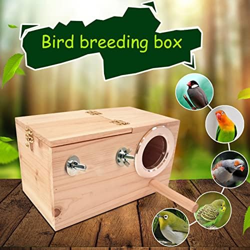 Joyeee Pequena caixa de ninho de periquito, design transparente, manto de madeira pertencente a periquito dos pântanos