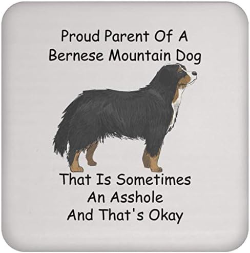 Dizer engraçado Bernese Mountain Dog Gifts for Women Christmas 2023 Presentes montanha -russa