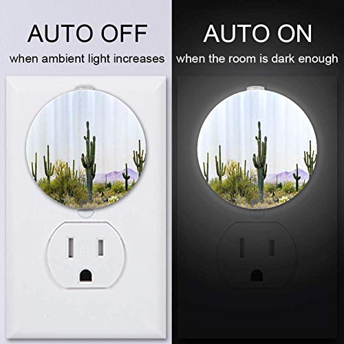 Baby Night Light com cacto no deserto Plugue de luz noturna na parede com o Dusk-to-Dawn Sensor 2-Pack