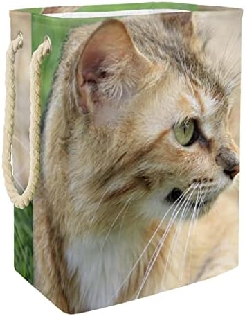 Padrão de gato Indicador grande cesto de roupa de roupa grande e impermeável Roupas cestas de roupas para roupas para o