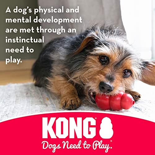 Kong - Puppy Binkie - borracha de dentição macia, tratar brinquedo para cães