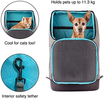 Mochila da transportadora de cães de Kurgo para pequenos animais de estimação - cães e gatos | Gato | Caminhadas ou viagens |