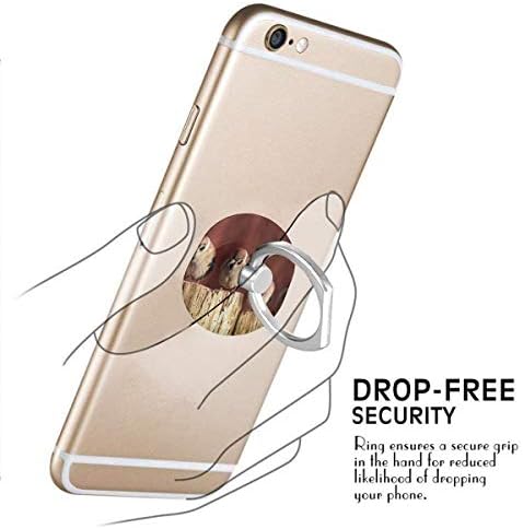 Phone Stand Sparrows Birds Animal Anel Celular Stand Ajustável 360 ° Rotação Puxa de dedo para iPad, Kindle, Telefone