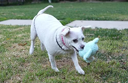 Glória para cachorro kandi o koala pequeno brinquedo de cachorro