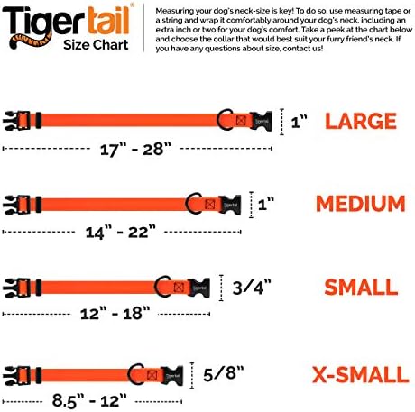 Tiger Tail Urban Nomad Dog Collar | À prova d'água, à prova de odor, durável, anti-MAT e leve | Nylon com revestimento premium