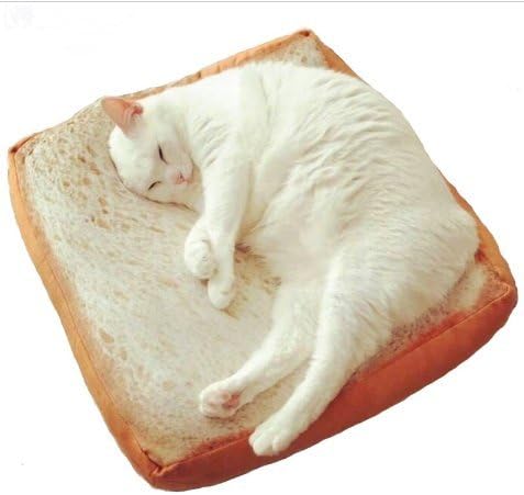 Urtoys 40x40cm fofo macio pão branco gato de animais de estimação almofada almofada infantil infantil presente de aniversário home padaria shop decoração criativa torrada pão travesseiro de pelúcia brinquedo