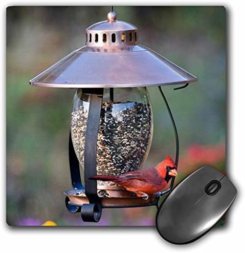 Northern Cardinal na Lanterna de cobre alimentador de pássaros, Marion Co. Il - Mouse Pad, 8 por 8 polegadas