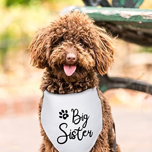 Big Sister Bandanas Bandanas Pet Dog Gravidez Anúncio de gênero Revelar foto Prop Pet Decorations Acessórios para os